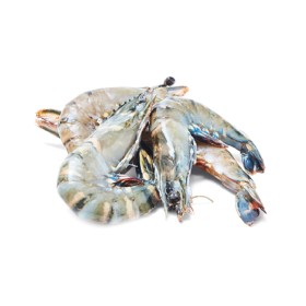 Thawed-Extra-Large-Australian-Green-Tiger-Prawns on sale