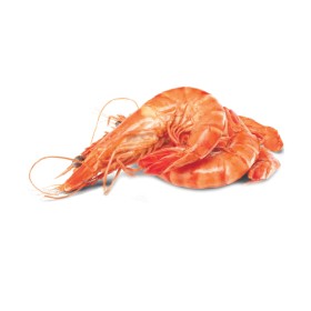 Thawed-Extra-Large-Cooked-Australian-Tiger-Prawns on sale