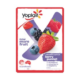 Yoplait+Yoghurt+12+x+100g+%26ndash%3B+From+the+Fridge