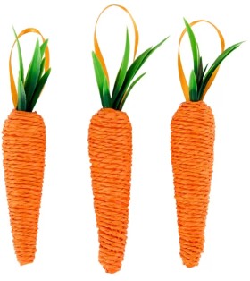 3-Pack-Easter-Craft-Carrot-Embellishment on sale