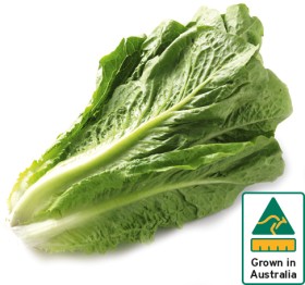 Australian-Cos-Lettuce-Twin-Pack on sale