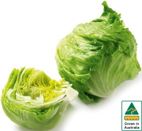 Australian+Iceberg+Lettuce