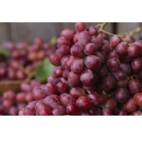 Australian+Red+Seedless+Grapes