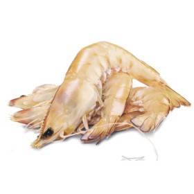 Australian-Thawed-Large-Green-Banana-Prawns on sale