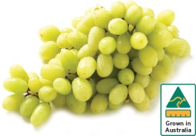 Australian+White+Seedless+Grapes