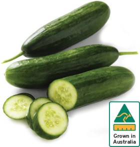 Australian-Lebanese-Cucumber on sale