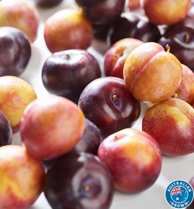 Australian+Black+or+Red+Plums