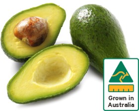 Australian-Shepard-Avocados on sale