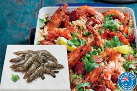 Coles-Australian-Thawed-Raw-Extra-Large-Black-Tiger-Prawns on sale