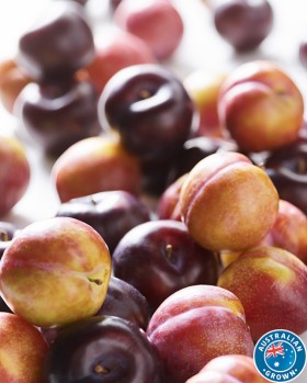 Australian+Black+or+Red+Plums