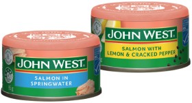 John-West-Salmon-95g-Selected-Varieties on sale