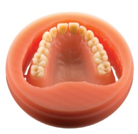 Polident+Pink+Veined+Multilayer+25mm