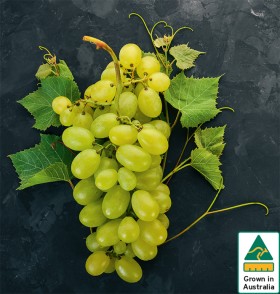 Australian+White+Seedless+Grapes