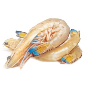 Thawed-Large-Australian-Green-King-Prawns on sale