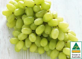 Australian+White+Seedless+Grapes