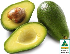 Australian-Shepard-Avocados on sale