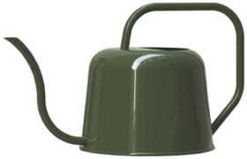 Rapid-09L-Steel-Watering-Can-in-Olive on sale