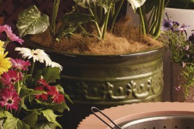 Astin+Sinclair+%26lsquo%3BFlowers%26rsquo%3B+205mm+x+200mm+Indoor+Ceramic+Pot+in+Green