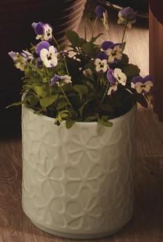 Astin+Sinclair+%26lsquo%3BFlowers%26rsquo%3B+245mm+x+245mm+Indoor+Ceramic+Pot+-+Green