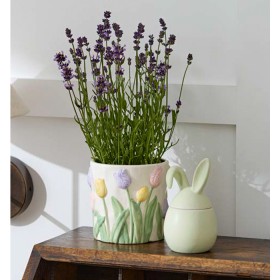 Assorted+Standing+Decorations