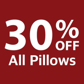 30-off-All-Pillows on sale