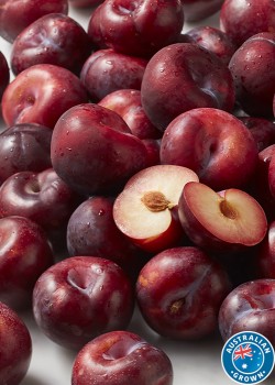 Australian-Black-Plums on sale