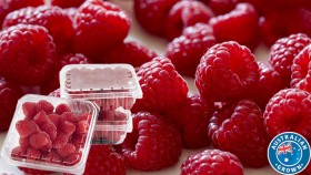 Australian+Raspberries+170g+Punnet