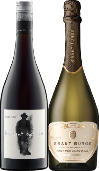 Innocent+Bystander+Pinot+Noir+or+Grant+Burge+NV+Range+750mL