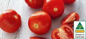 Australian-Gourmet-Tomatoes on sale
