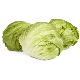 Australian+Iceberg+Lettuce