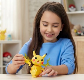 Mega+Pokemon+Build+%26amp%3B+Show+Collection