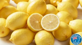 Australian-Loose-Lemons on sale