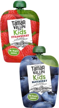 Tamar-Valley-Dairy-Kids-Greek-Style-Yoghurt-Pouch-110g on sale