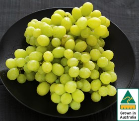 Australian+White+Seedless+Grapes