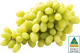 Australian+White+Seedless+Grapes
