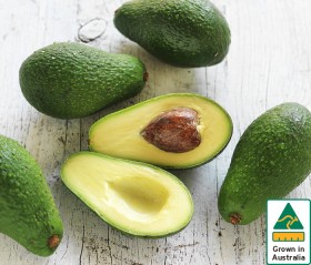 Australian+Shepard+Avocados