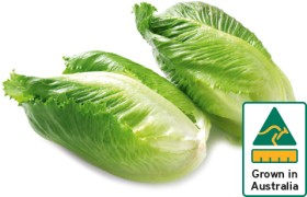 Australian-Baby-Cos-Lettuce-Twin-Pack on sale
