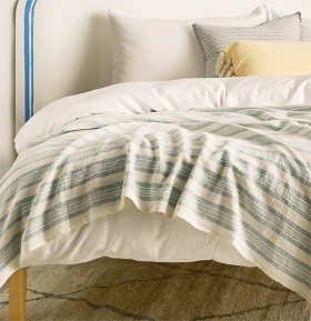 Cushions-and-Throw-Blankets on sale