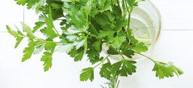 Italian-Parsley on sale