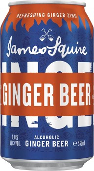 James+Squire+Ginger+Beer+10+Pack+Cans+330mL