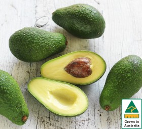 Australian-Shepard-Avocados on sale