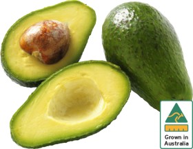Australian-Shepard-Avocados on sale