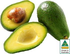 Australian+Shepard+Avocados