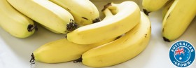 Australian-Cavendish-Bananas on sale
