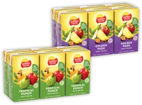 Golden-Circle-Fruit-Drink-6x250mL-Selected-Varieties on sale