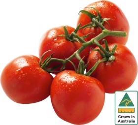 Australian+Truss+Tomatoes