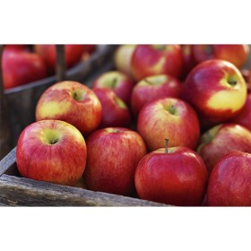 Australian-Jazz-Apples on sale