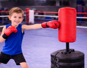 Pro-Strike-Pro-Freestanding-Trainer-Set on sale