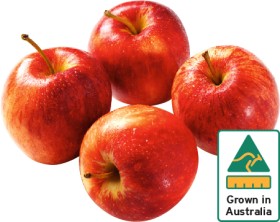 Australian-Royal-Gala-Apples-1kg-Pack on sale