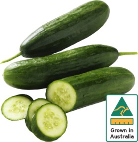 Australian-Lebanese-Cucumber on sale
